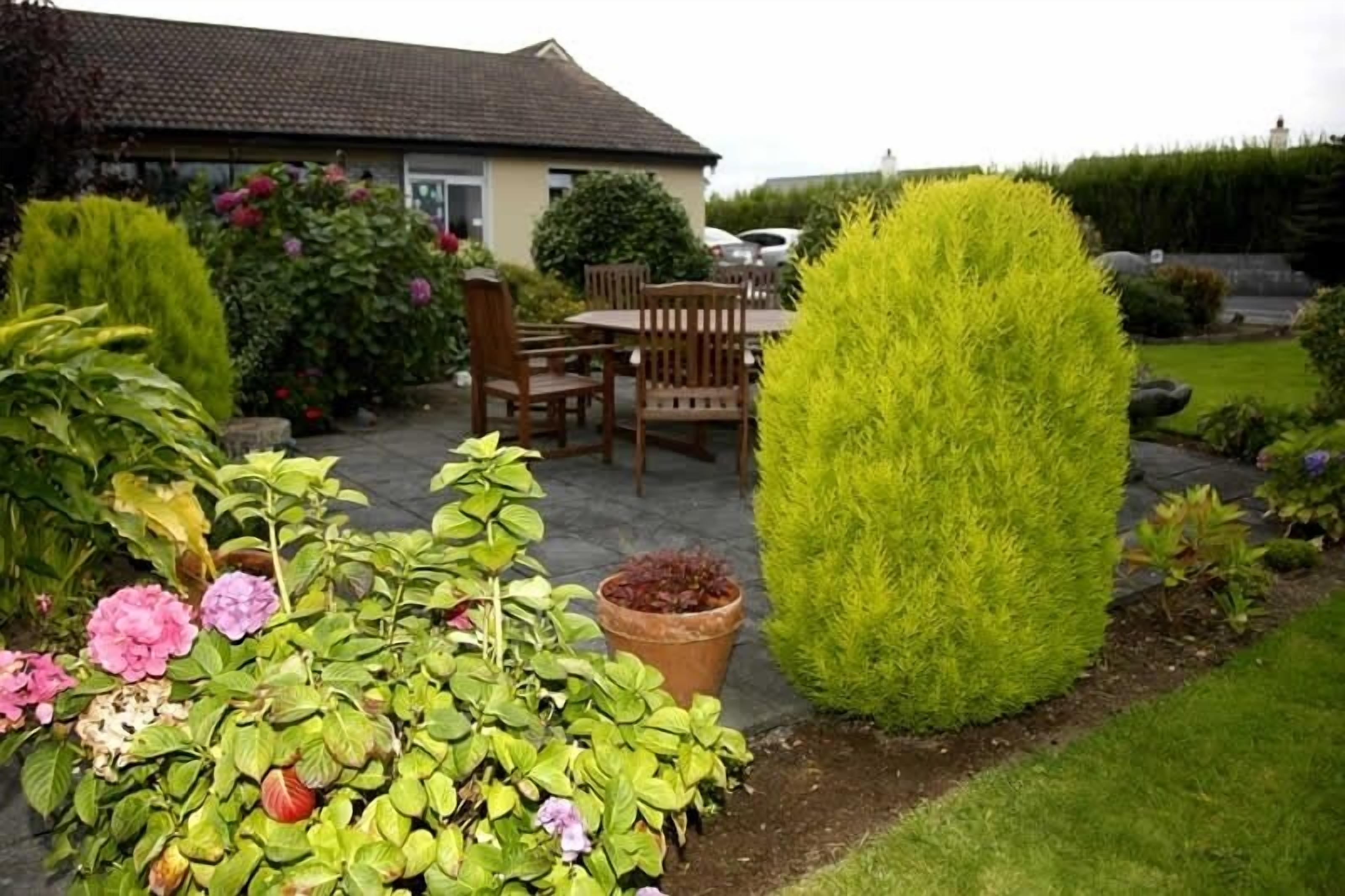 A garden with a patio area, a house in the background, and a car parked nearby.