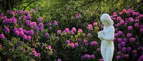 A statue of a woman in a garden with dense foliage and purple flowers.