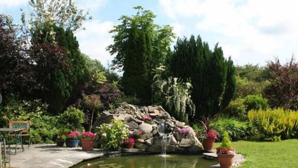 Un jardín con un estanque, rocas y diversas plantas.