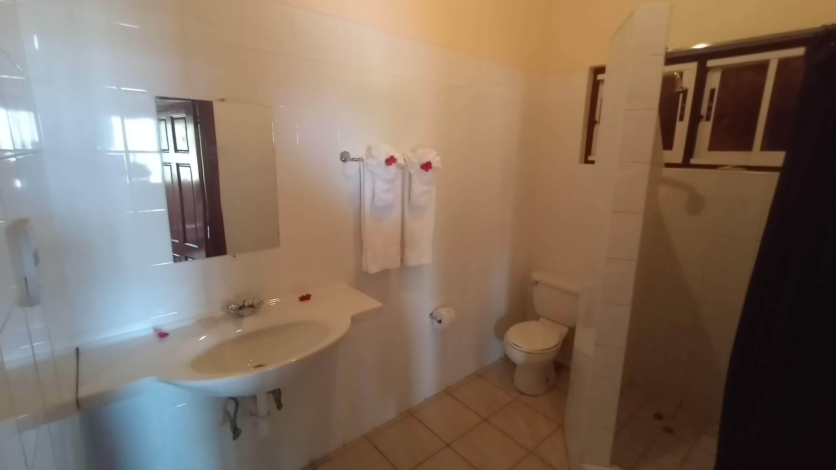 apartment, 1 bedroom, kitchen, ocean view (apartment 7) | bathroom | shower, hair dryer, towels