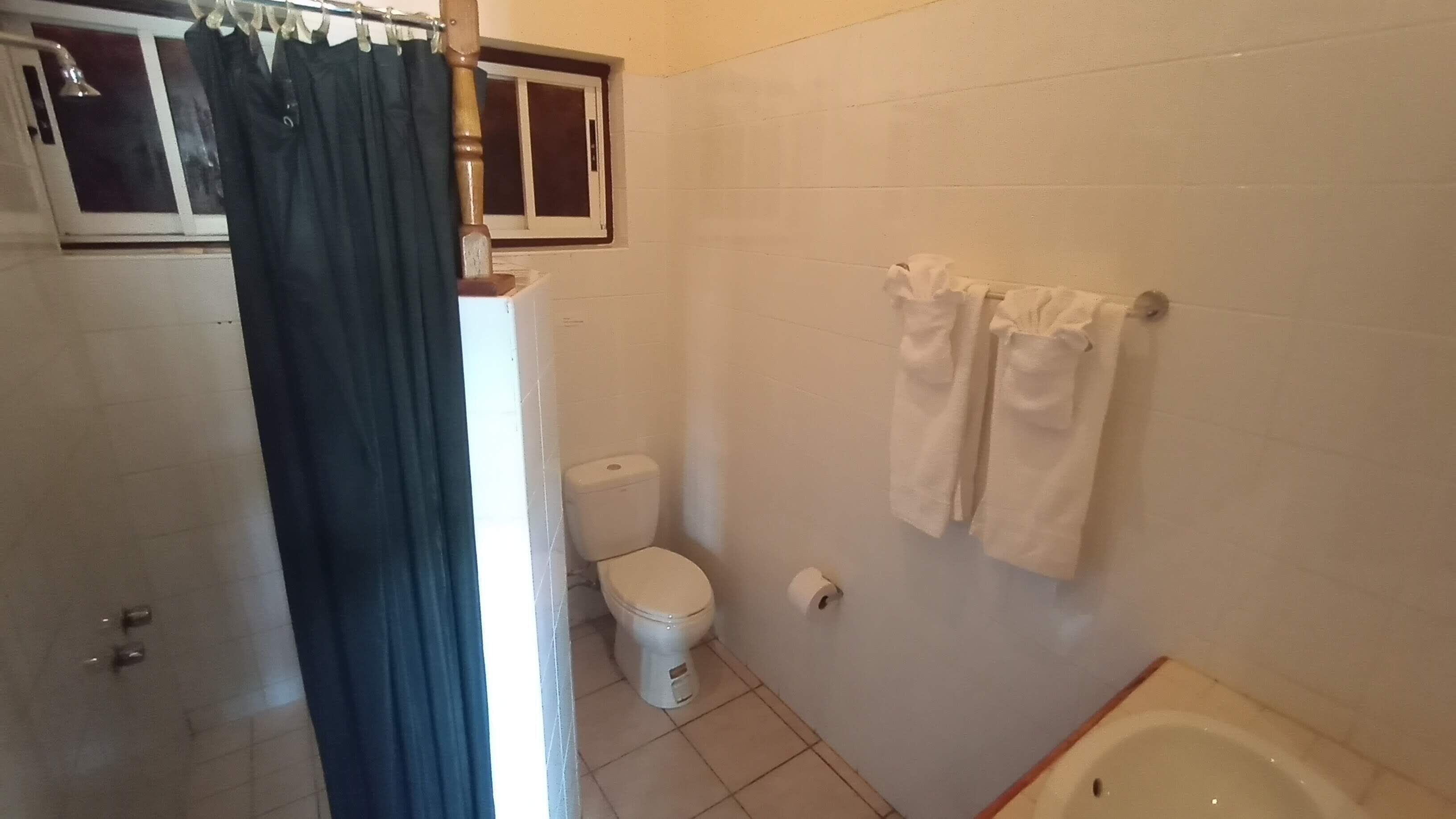 superior double room, mountain view (room 2) | bathroom | shower, hair dryer, towels