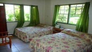 Classic Single Room, 2 Double Beds, Mountain View (No A/C Room 5) | Iron/ironing board, free WiFi, bed sheets