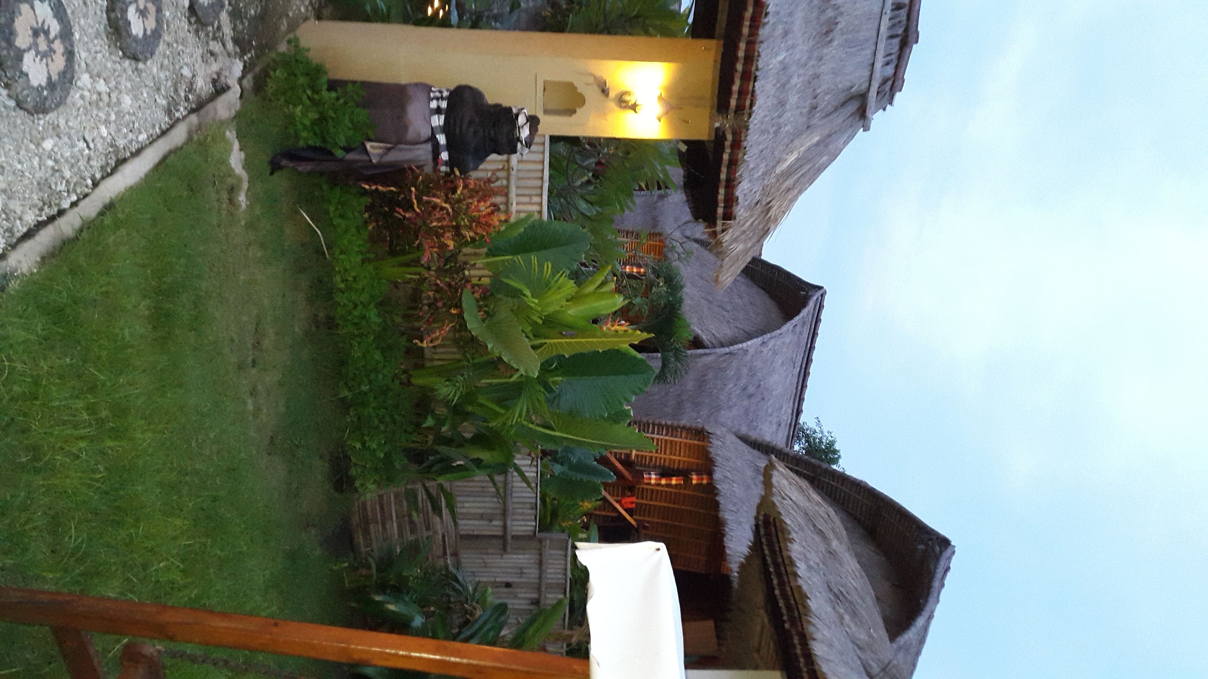 A rustic outdoor area with a thatched-roof structure, a wooden fence, and various plants.