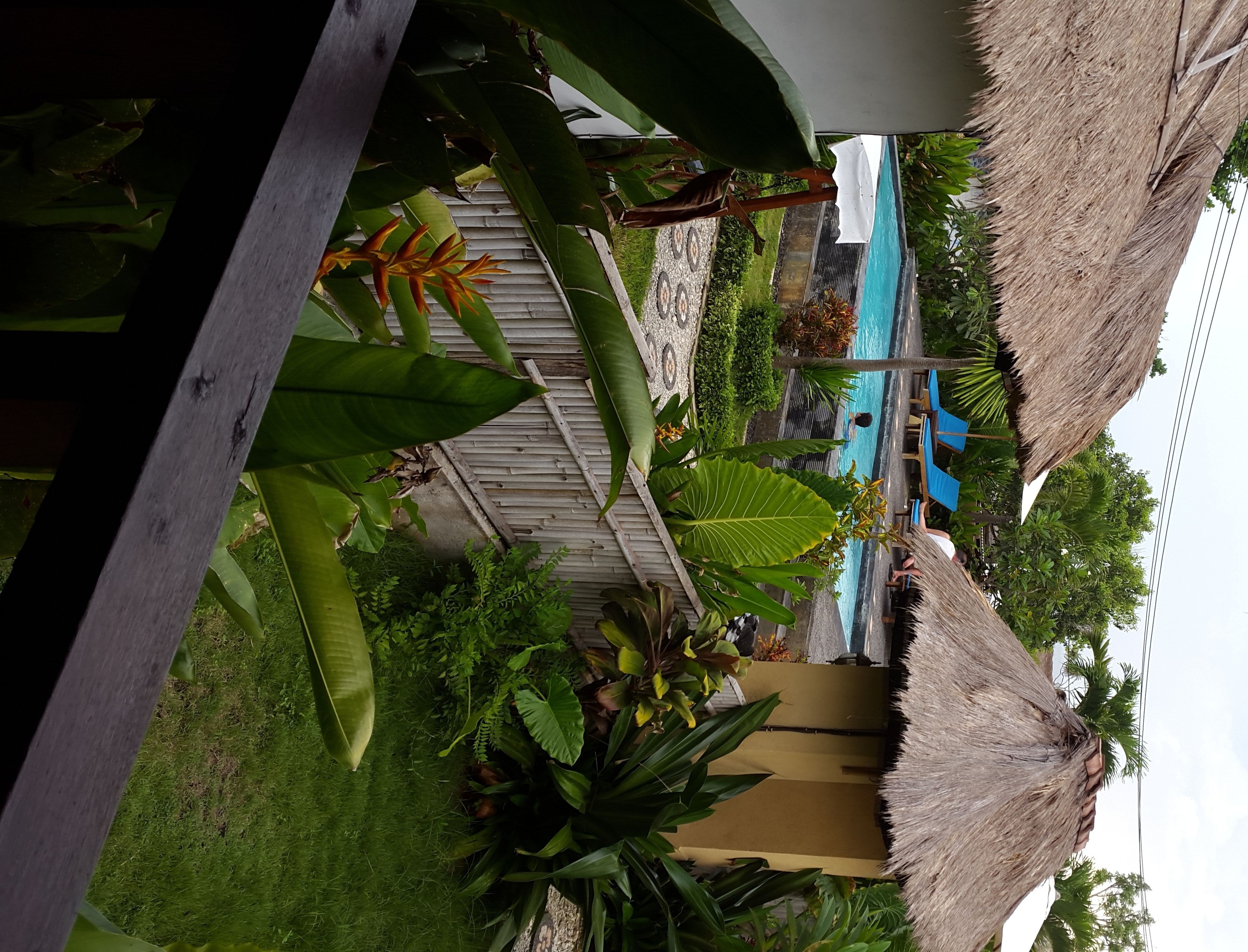 A pool area with a thatched roof, surrounded by lush greenery and a wooden deck.