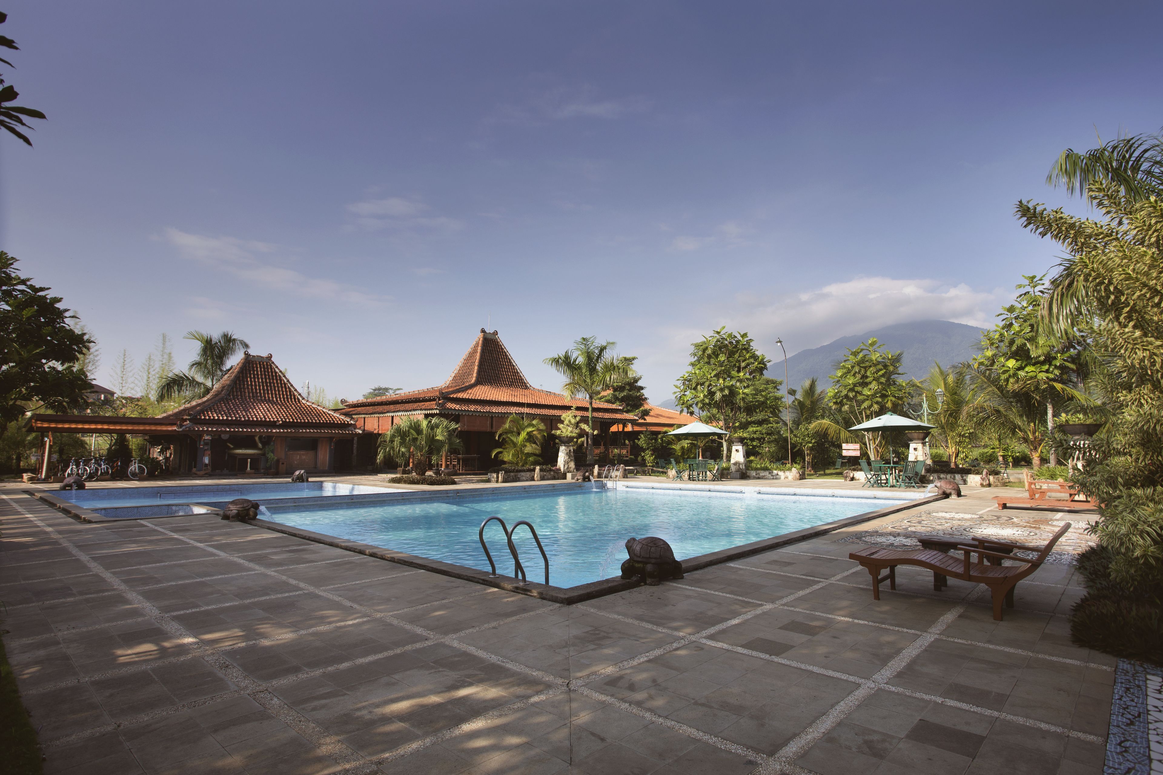 Hồ bơi ngoài trời, dù/ô trên bãi biển/hồ bơi, ghế dài tắm nắng 