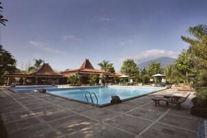 Outdoor pool, pool umbrellas, pool loungers