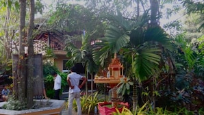 Un exuberante jardín con una estructura de templo tradicional, rodeado de plantas y árboles tropicales.