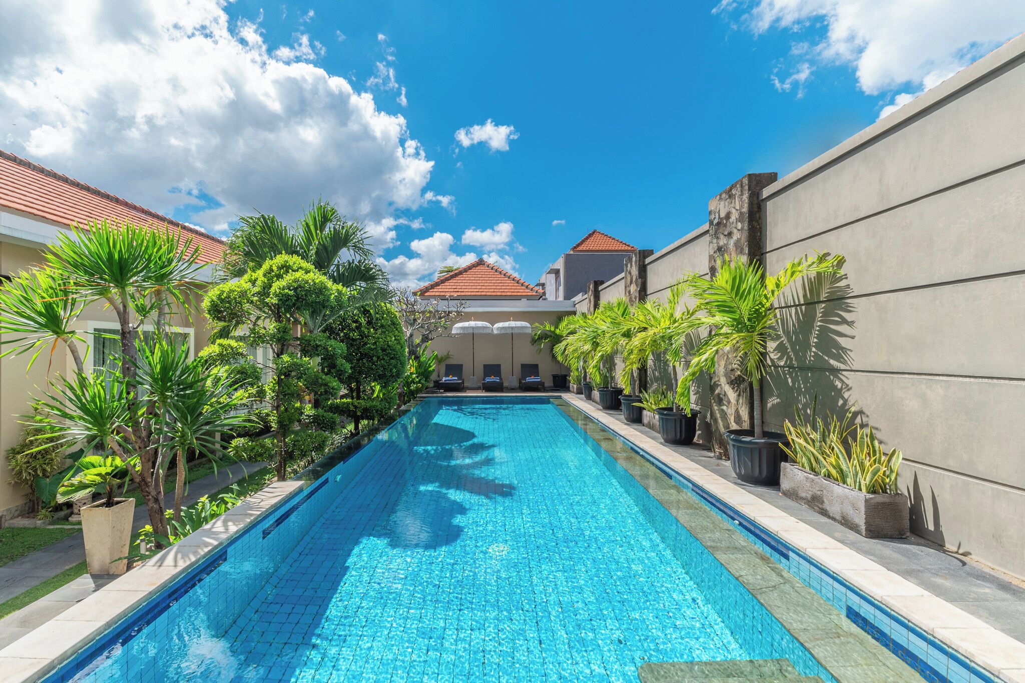 Outdoor pool, sun loungers