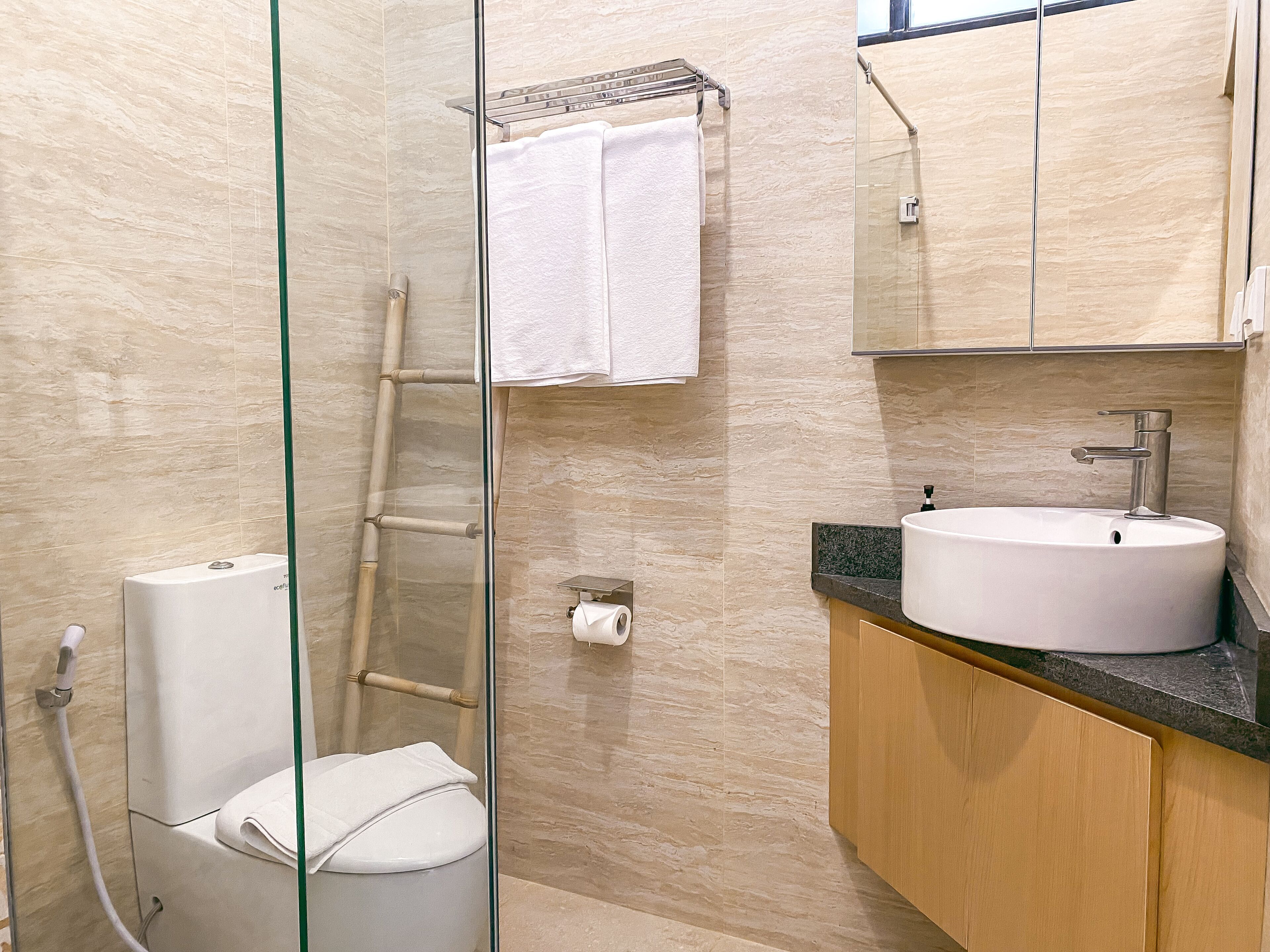 A modern bathroom with a glass-enclosed shower, a toilet, a sink with a mirror above, and a towel rack.