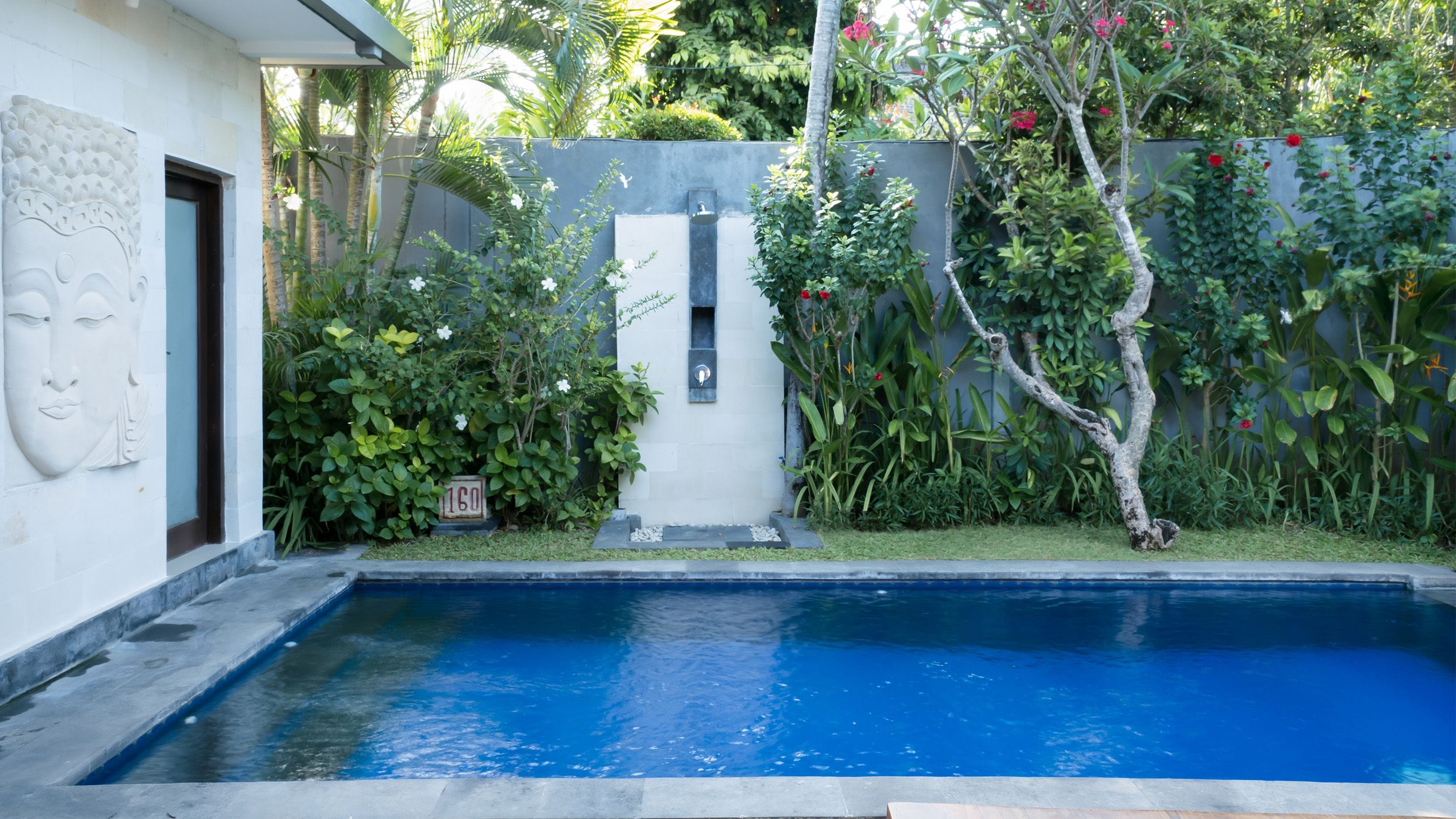 A swimming pool with a white wall and a door on the left, surrounded by lush greenery and a small garden area.