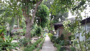 Property grounds - Calm Beach Resort (Koh Samui)