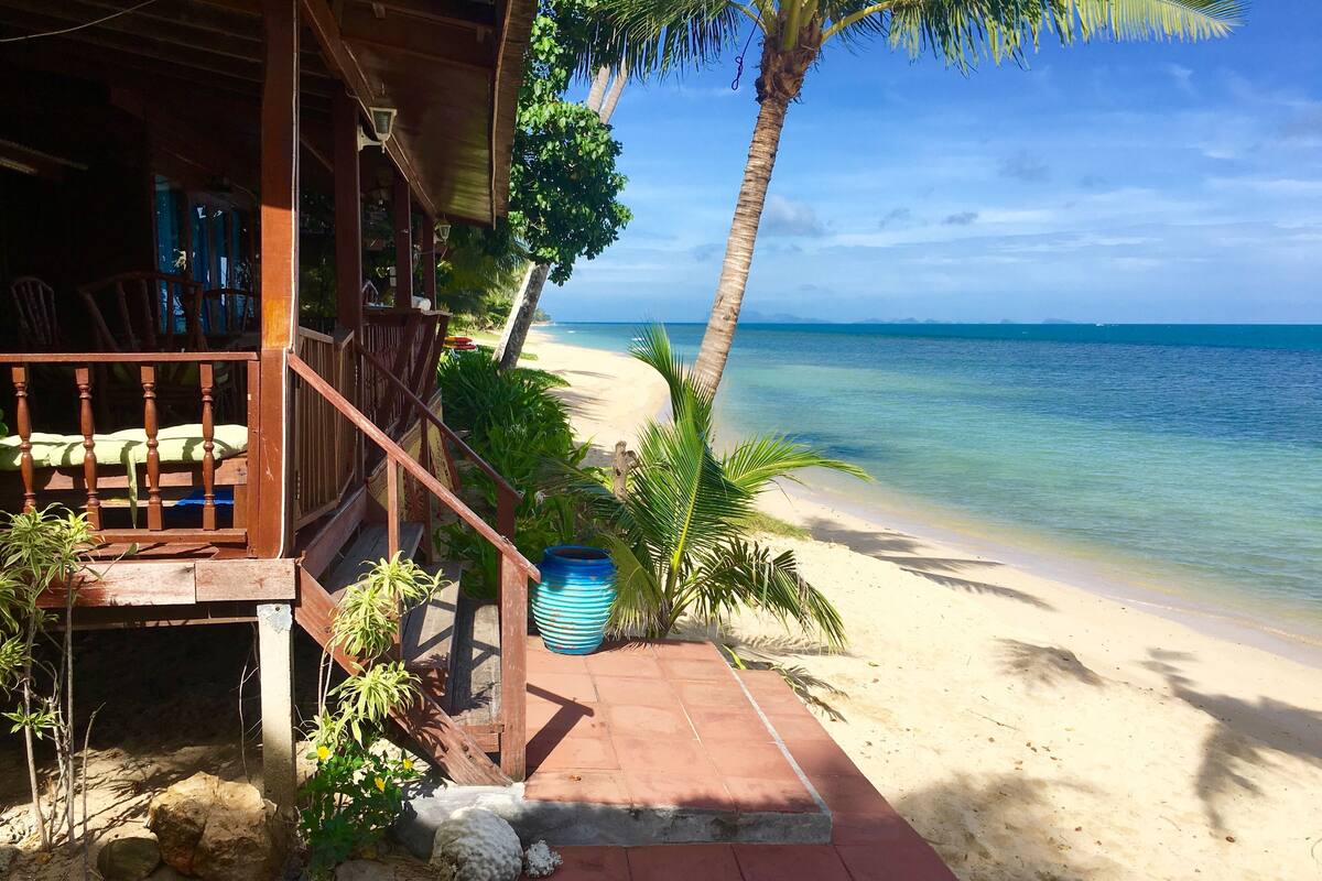 A wooden staircase leading to a beach with a palm tree and a blue pot.