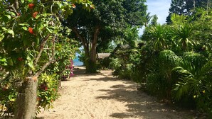 A sandy pathway surrounded by lush greenery and trees. - Bang Po Village (Koh Samui)