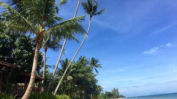 A beach with palm trees, a sandy shore, and a clear blue sky.