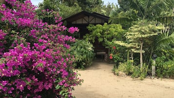 Jardin