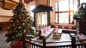 Un salon chaleureux avec un grand sapin de Noël, une cheminée en pierre et un banc en bois.