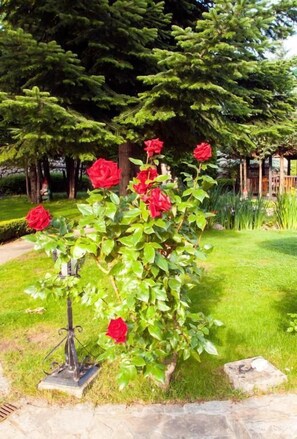 Garden - Hotel Tanne (Bansko)