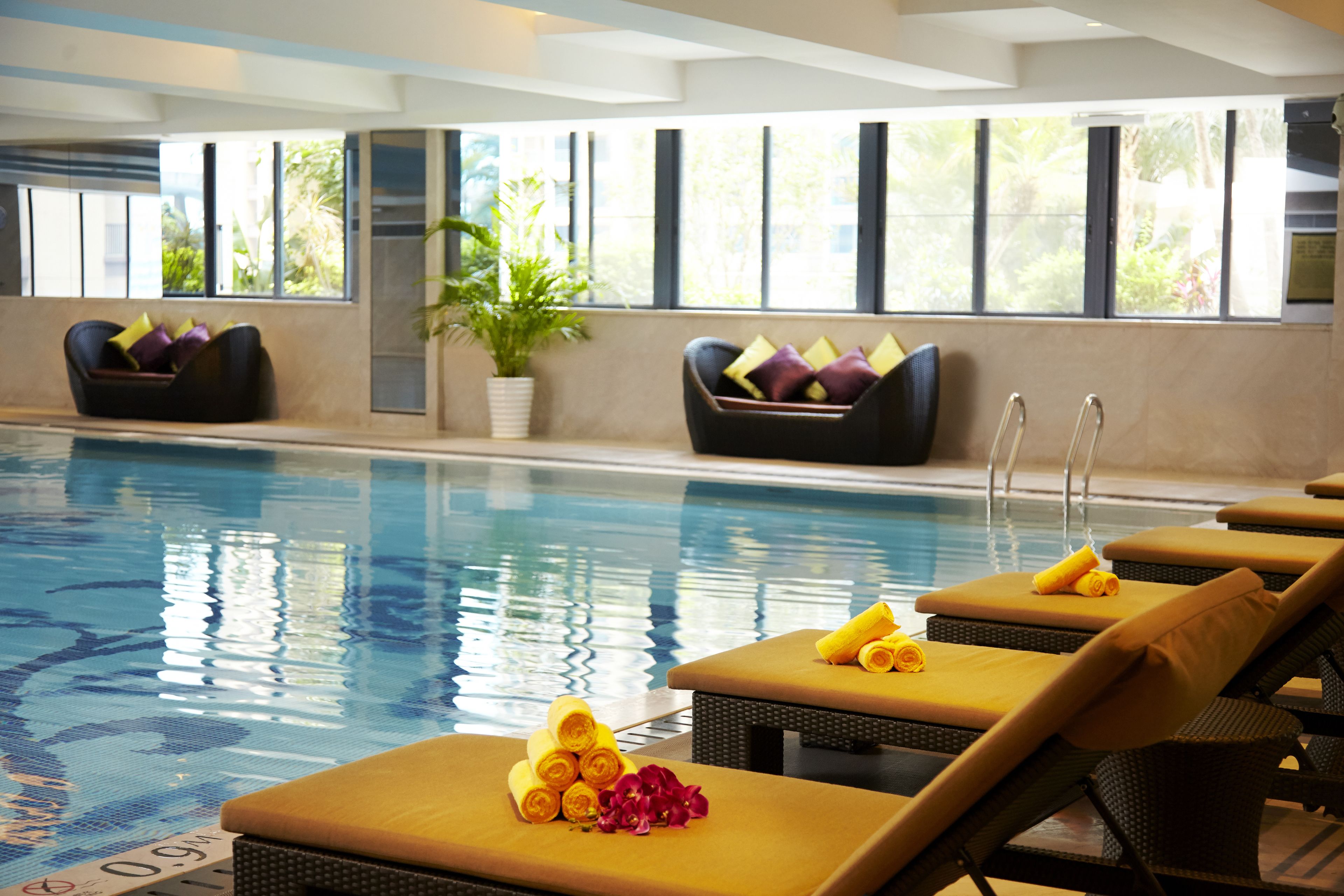 A pool area with lounge chairs, a potted plant, and a clear view of the outdoors.