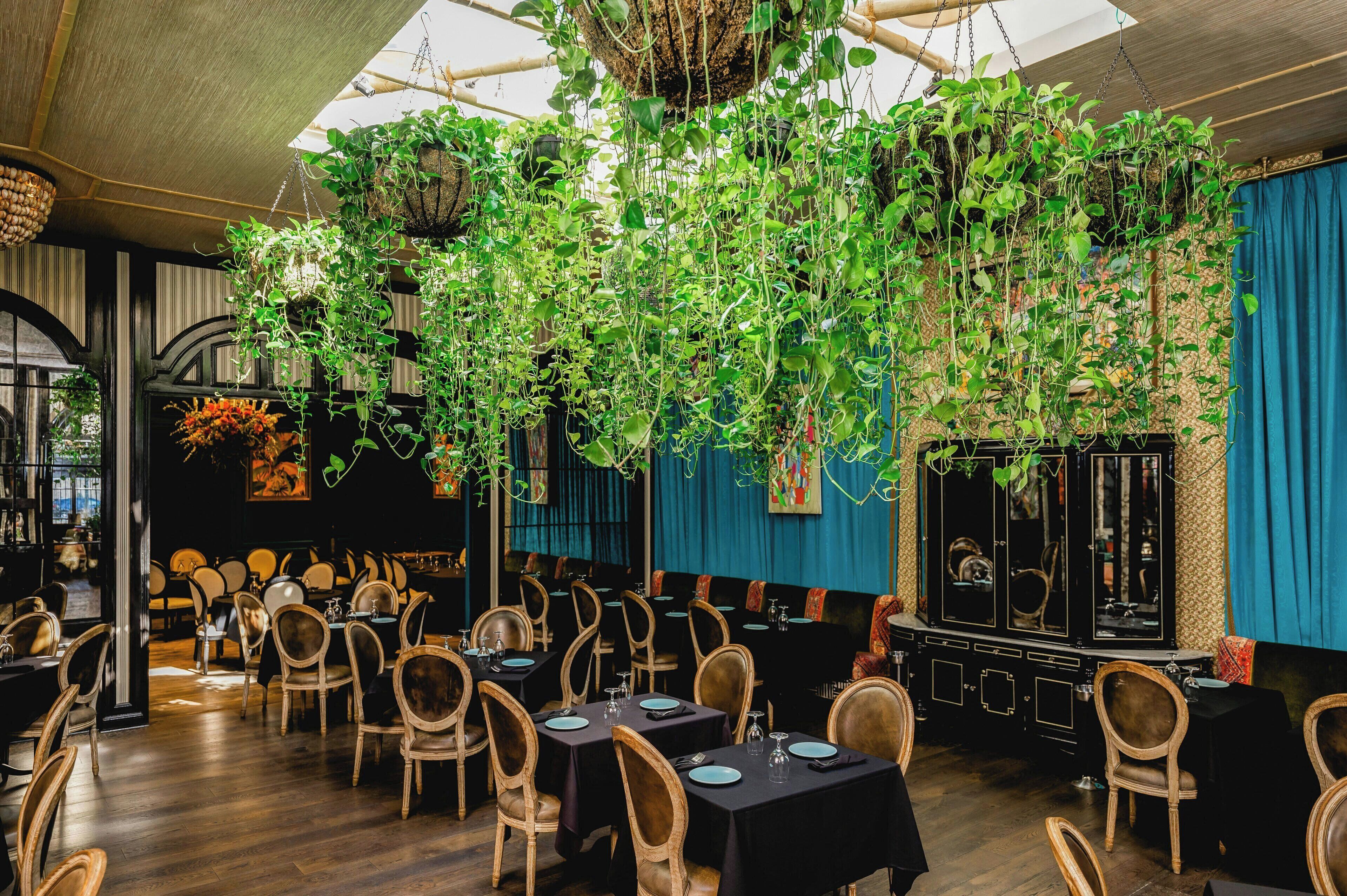 Restaurante con mesas dispuestas para comer, sillas y plantas colgantes.