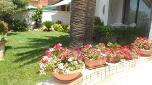 A garden with potted geraniums and a palm tree. - L'Approdo (Anzio)