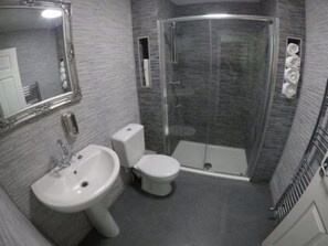 Combined shower/bathtub, free toiletries, hair dryer, towels