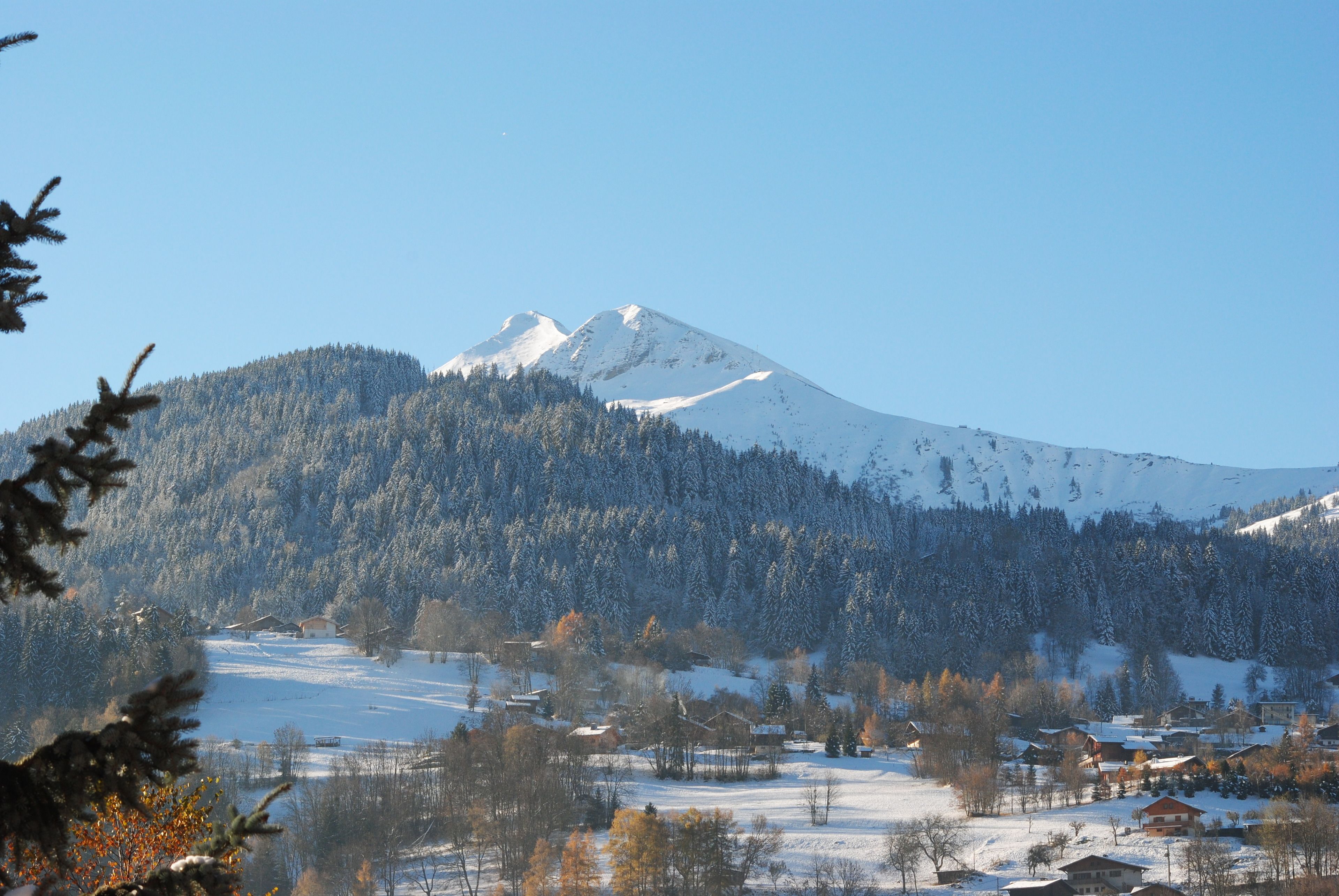 A snow-covered mountain with a forested slope and a small village in the foreground.