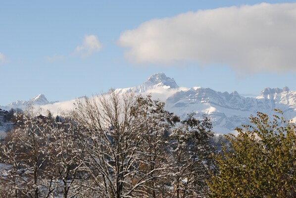 Un paisaje montañoso con árboles cubiertos de nieve y un pico prominente al fondo.