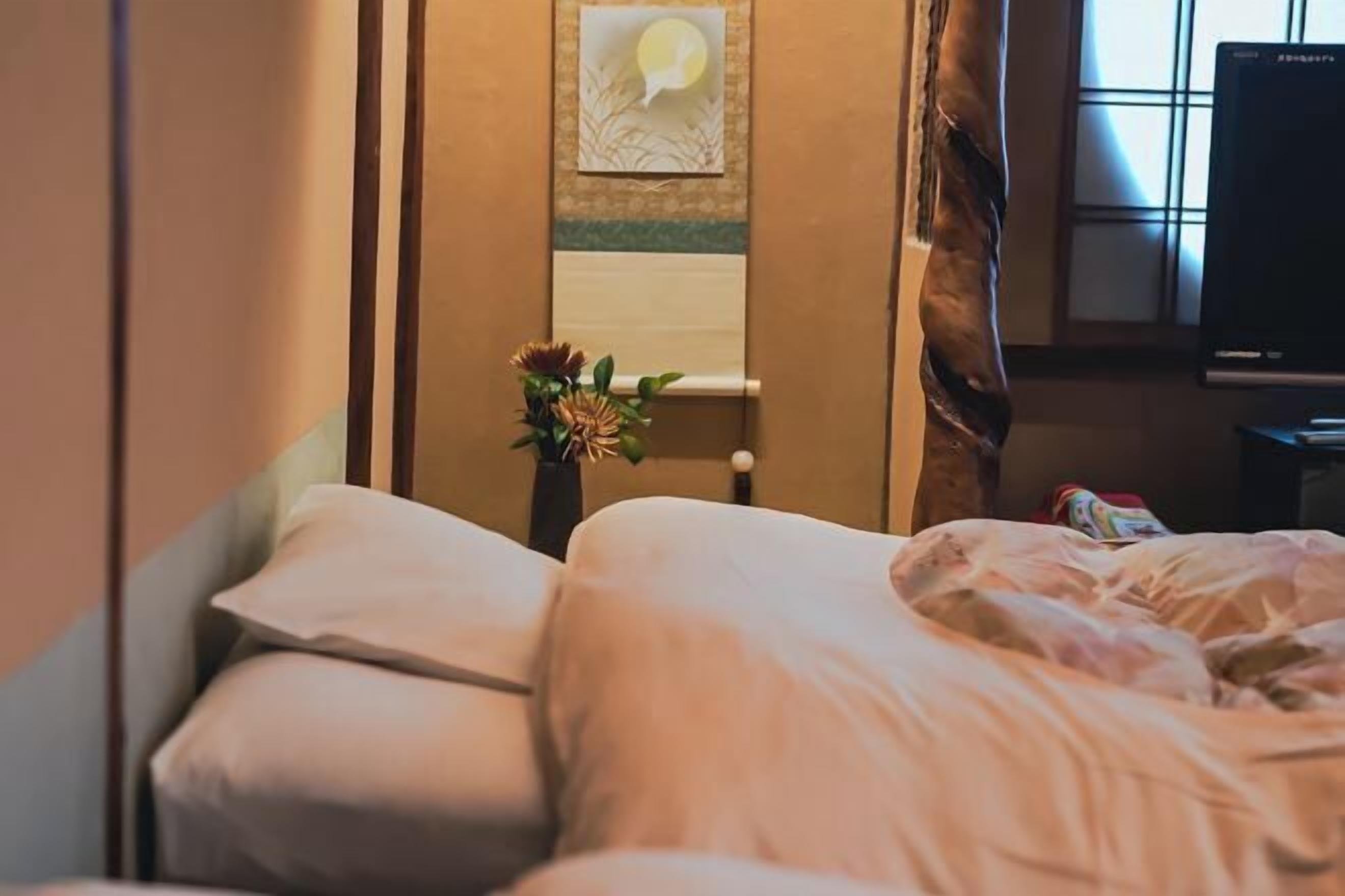 Couette en duvet d'oie, Wi-Fi gratuit