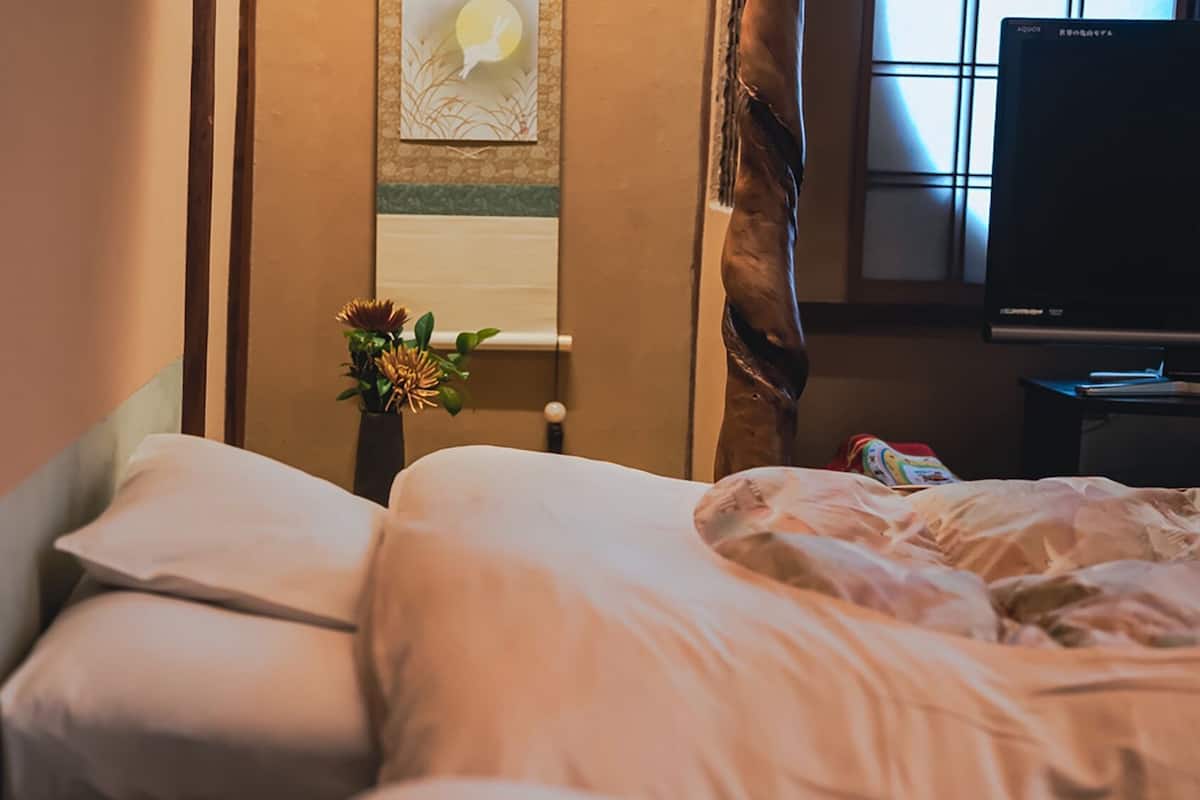 Quarto de hotel com cama, um vaso de flores, janela com cortinas e uma televisão.