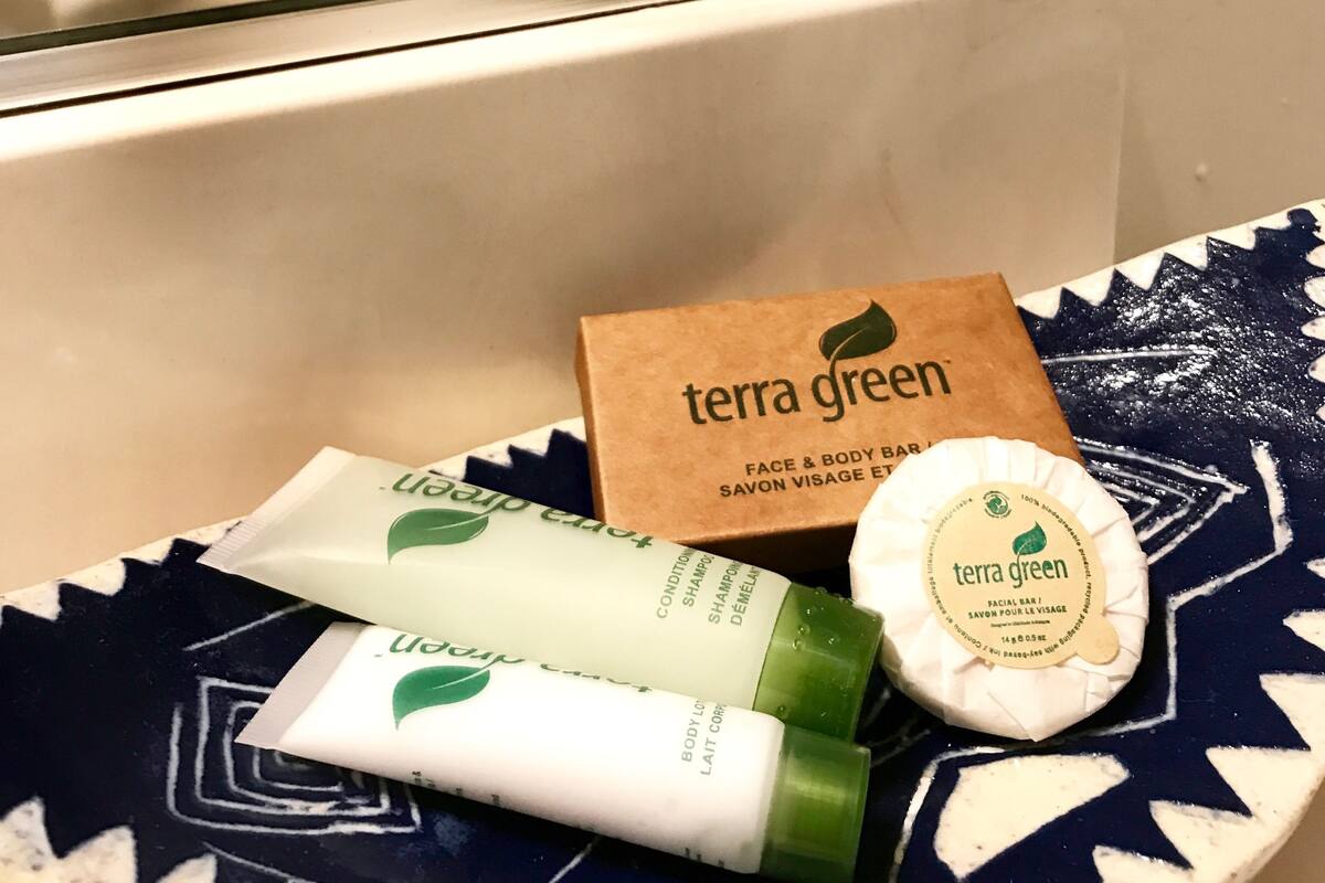 free toiletries, hair dryer, towels