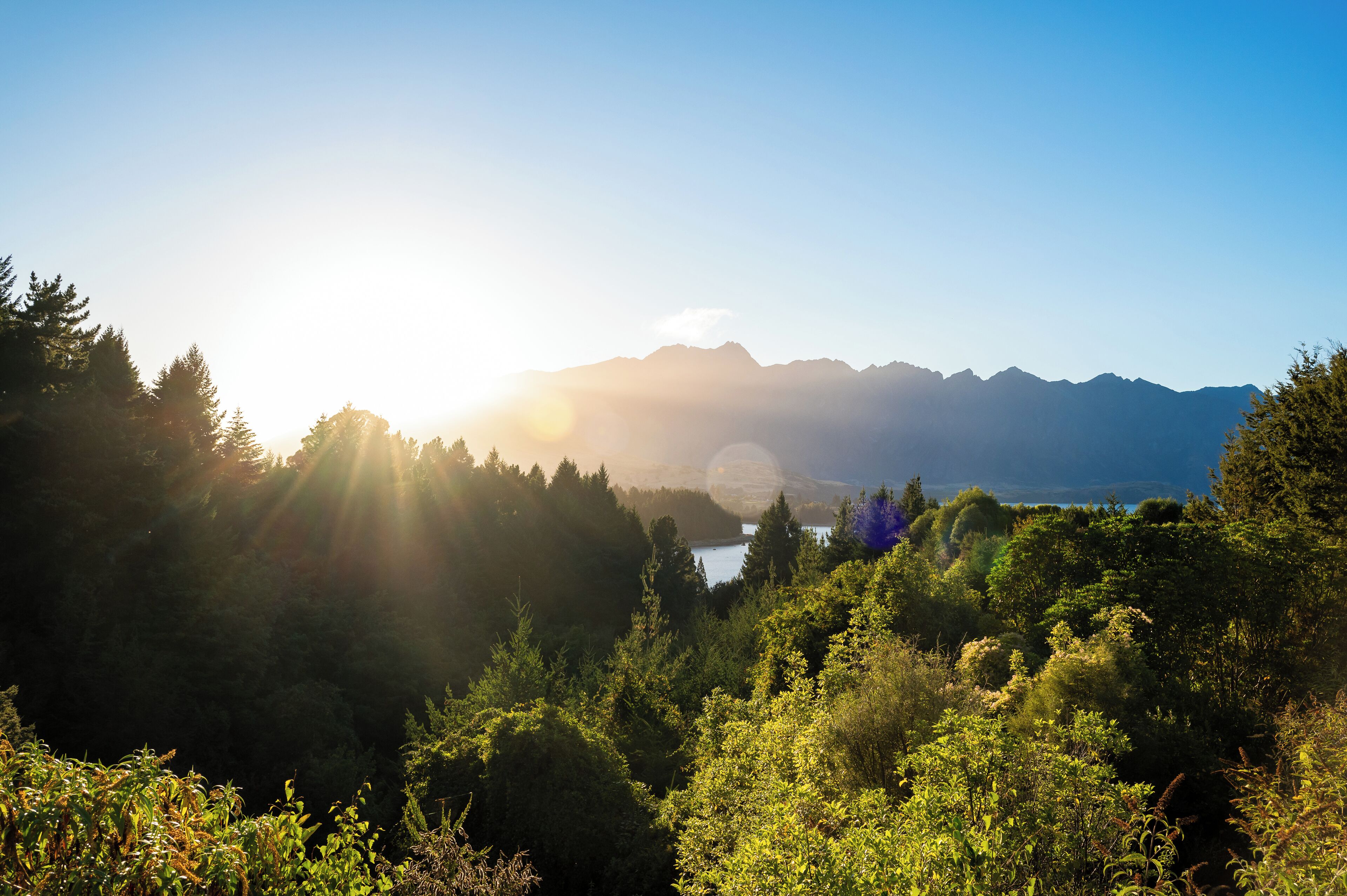 A mountainous landscape with dense forest and a lake.