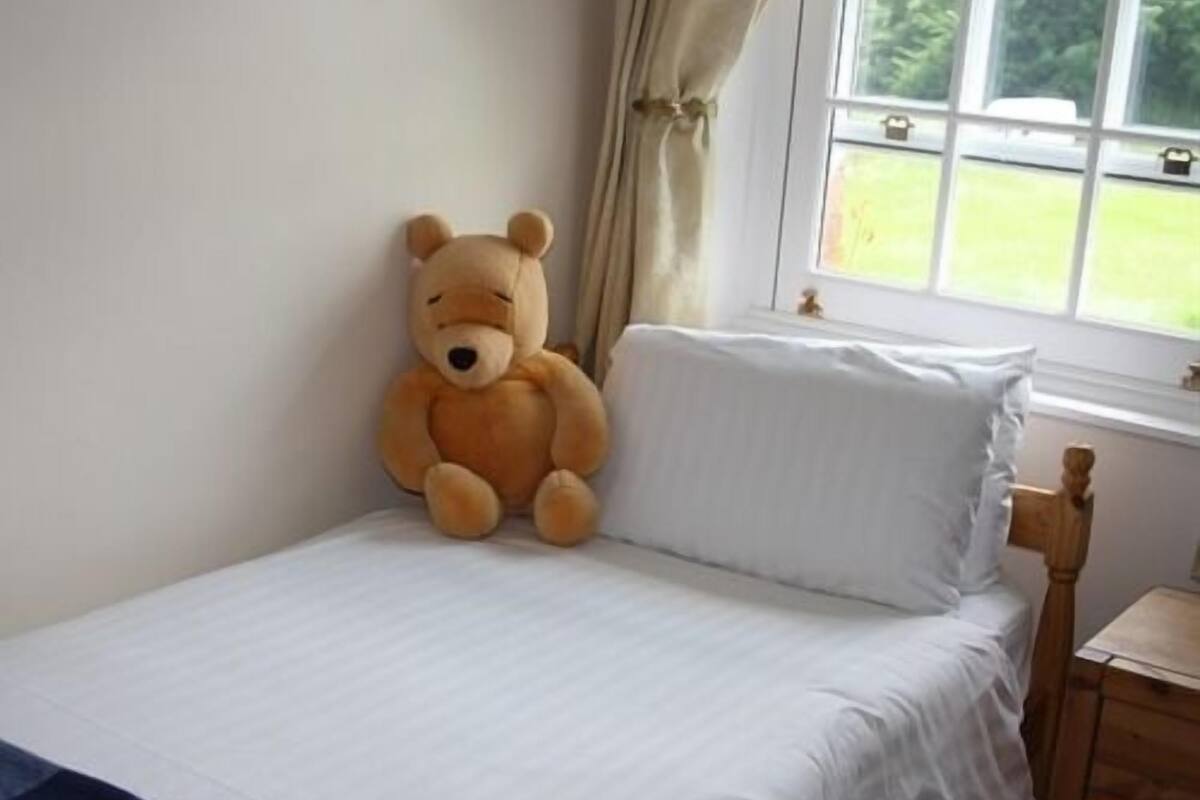 iron/ironing board, cots/infant beds, free wifi, bed sheets