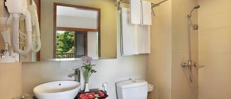 Une salle de bain avec un lavabo, des toilettes et une douche.