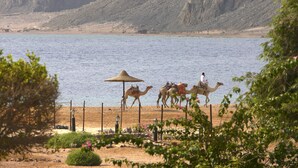 View from property - Happy Life Village (Dahab)