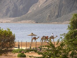 Vista desde la propiedad