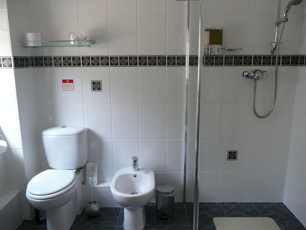 A bathroom with a toilet, bidet, and shower.