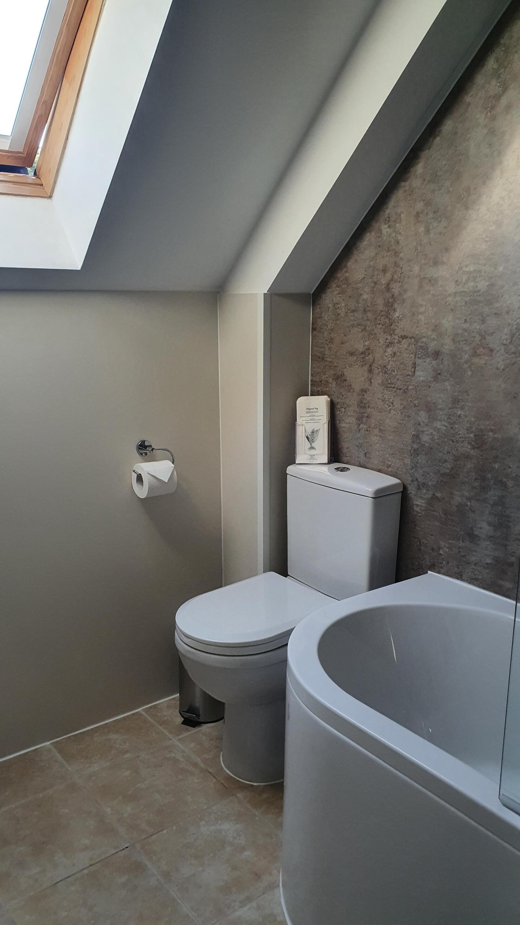 Un baño moderno con tragaluz, inodoro y bañera.