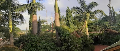 Premium bedding, individually decorated, individually furnished, desk