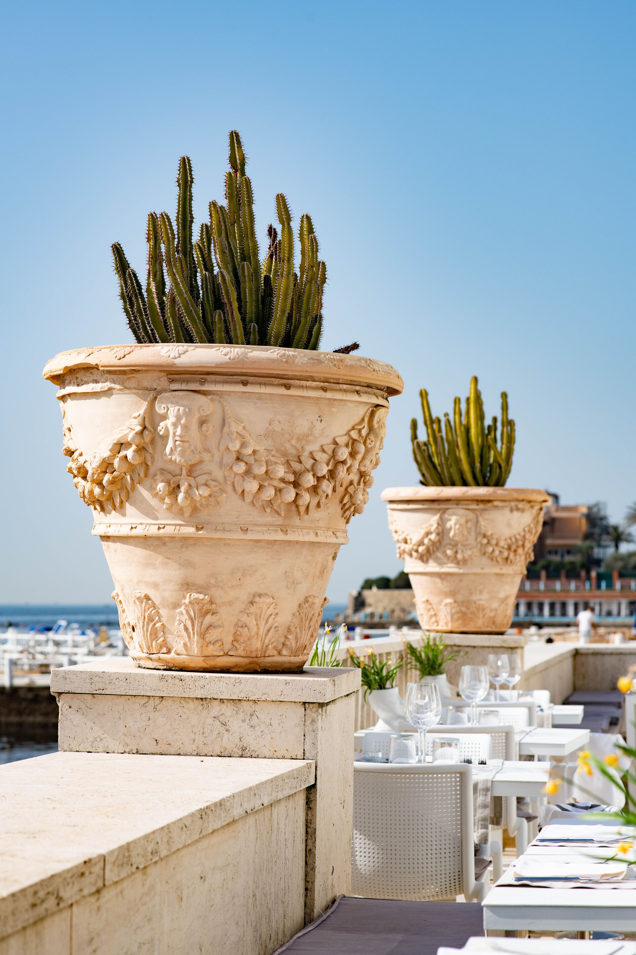 Rooftop terrace
