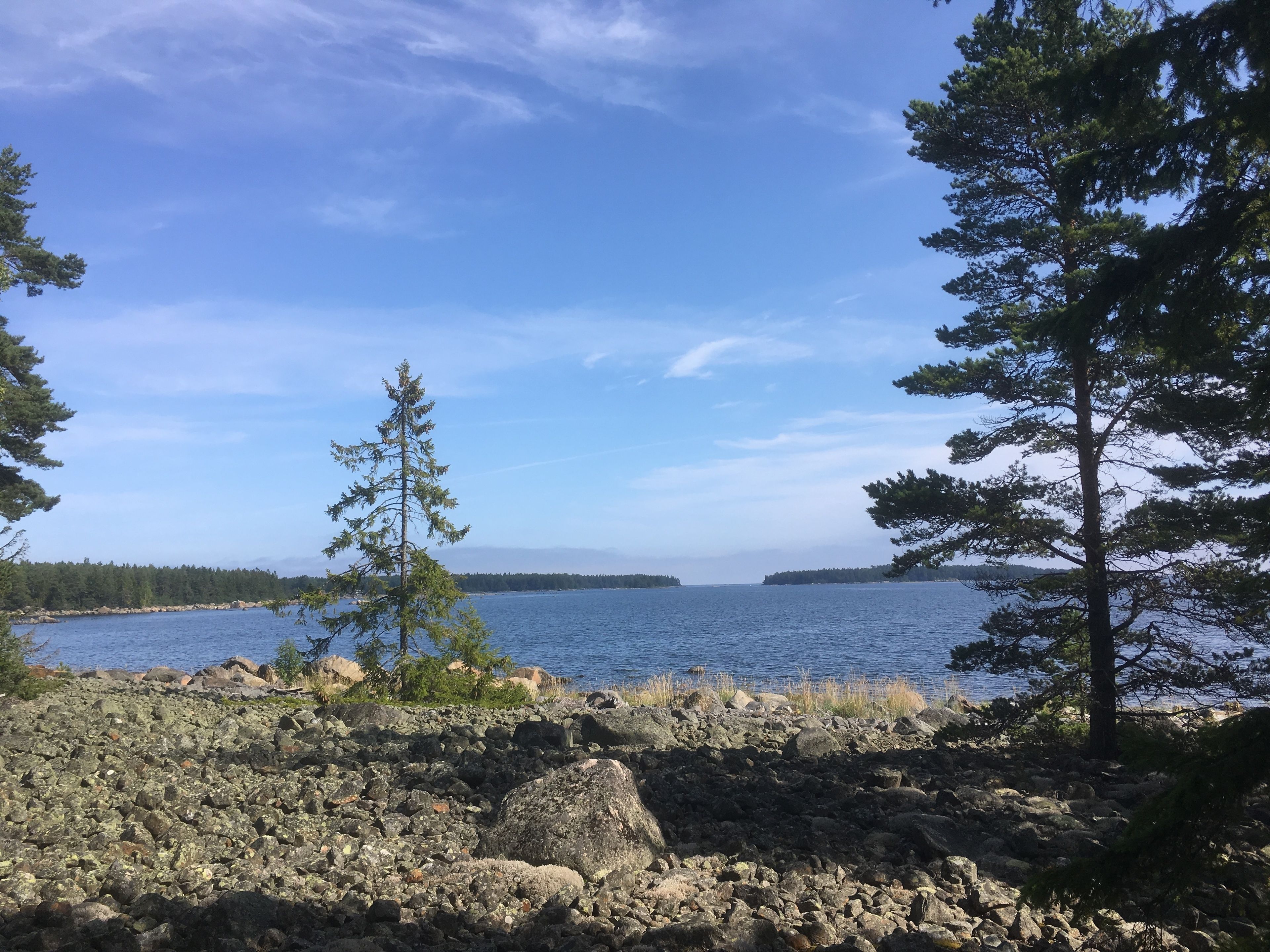 En stenig kustlinje med fri utsikt över en stilla sjö och ett avlägset landområde.