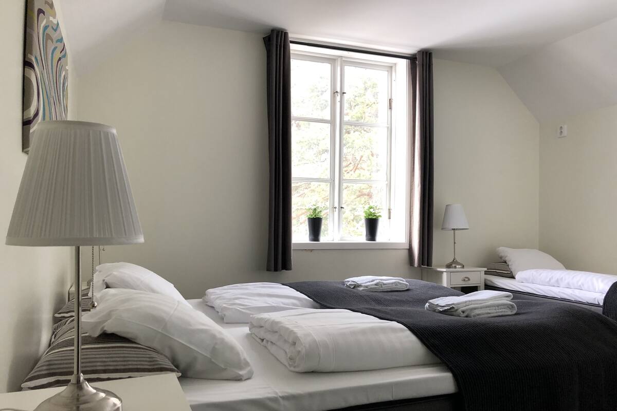 A hotel room with a bed, bedside table, lamp, window with curtains, and two potted plants.