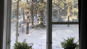 Una ventana con vista a un bosque nevado.