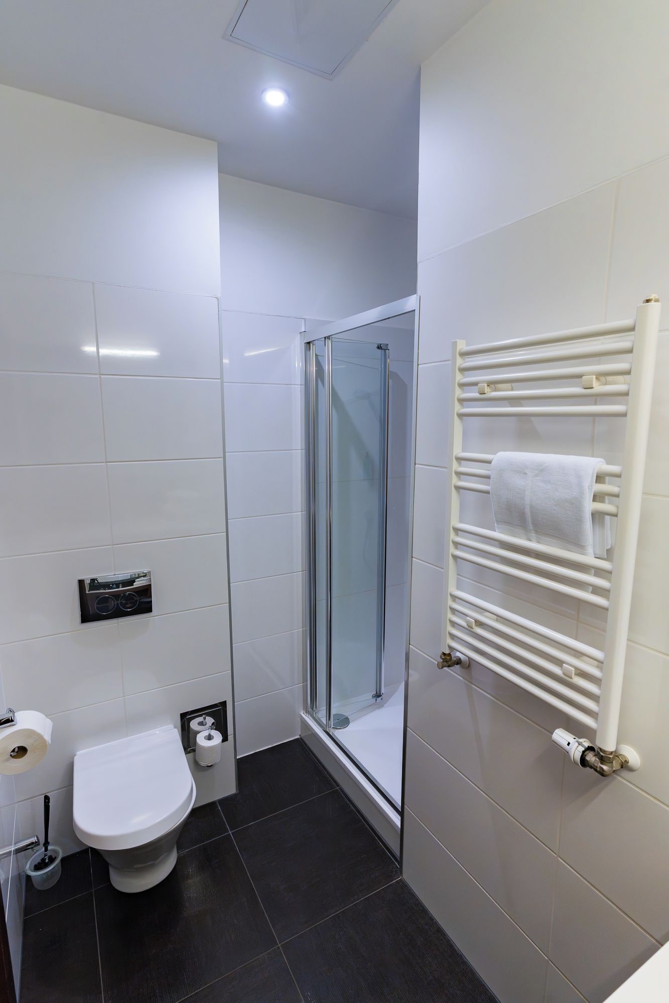 A modern bathroom with a toilet, shower, and towel rack.