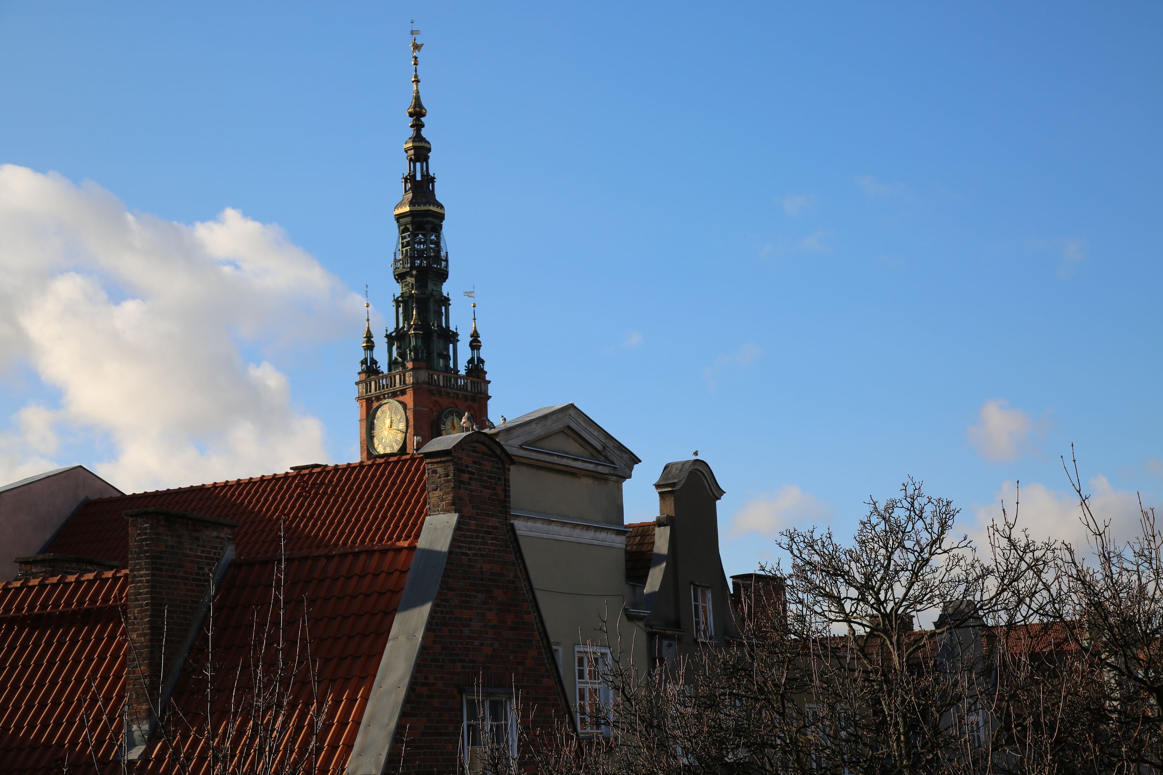 superior room | view from room