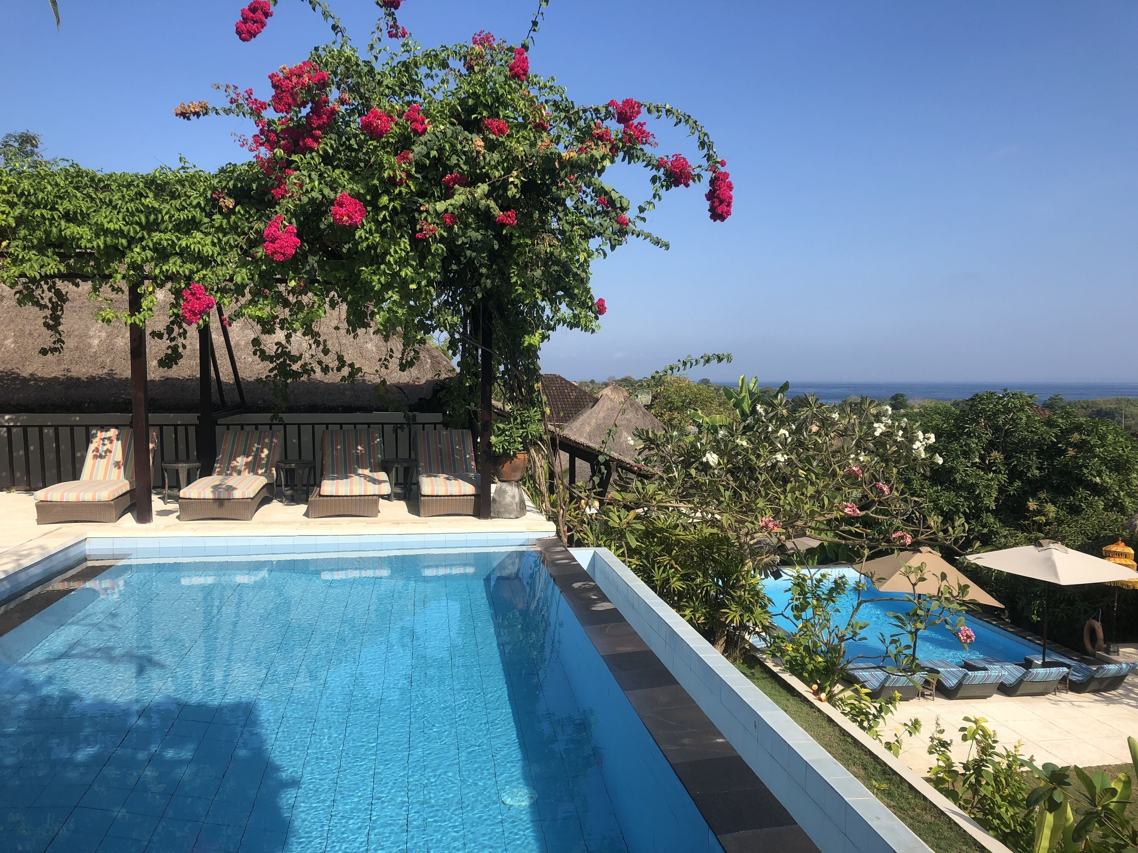 2 outdoor pools, pool loungers