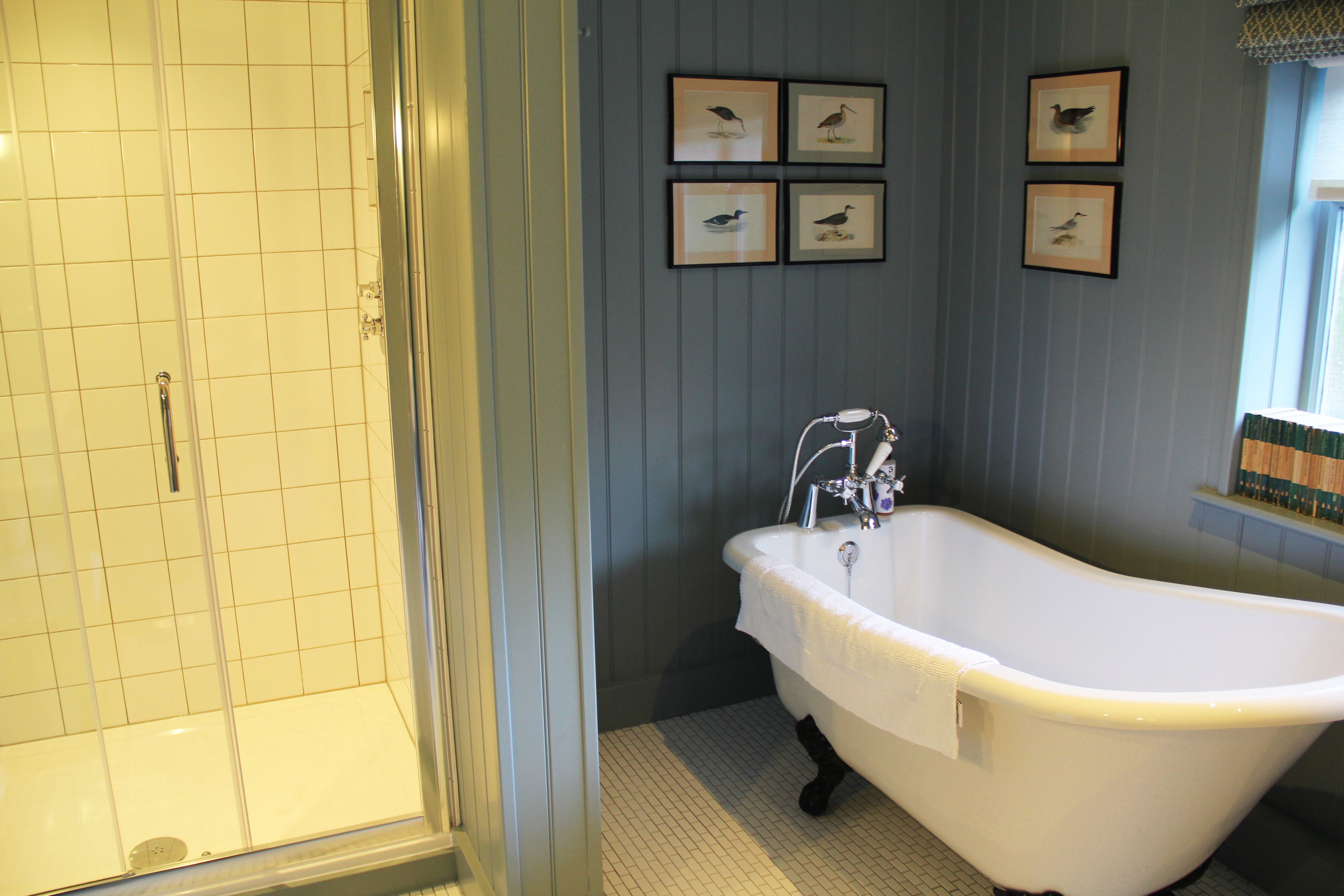 A bathroom with a white bathtub, a shower, and four framed bird pictures on the wall.