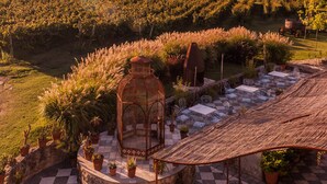 A vineyard with a rustic outdoor seating area featuring a checkered floor, a metal lantern, and a thatched roof structure. - Narbona Wine Lodge (Carmelo)