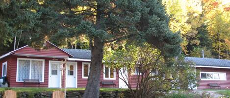 Une cabane rouge avec un grand arbre devant, un banc et un petit espace aménagé en jardin.