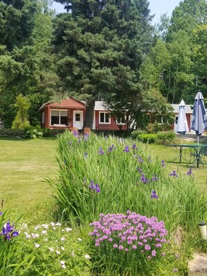 A red wooden cabin with a white door and windows, surrounded by lush greenery and purple flowers.