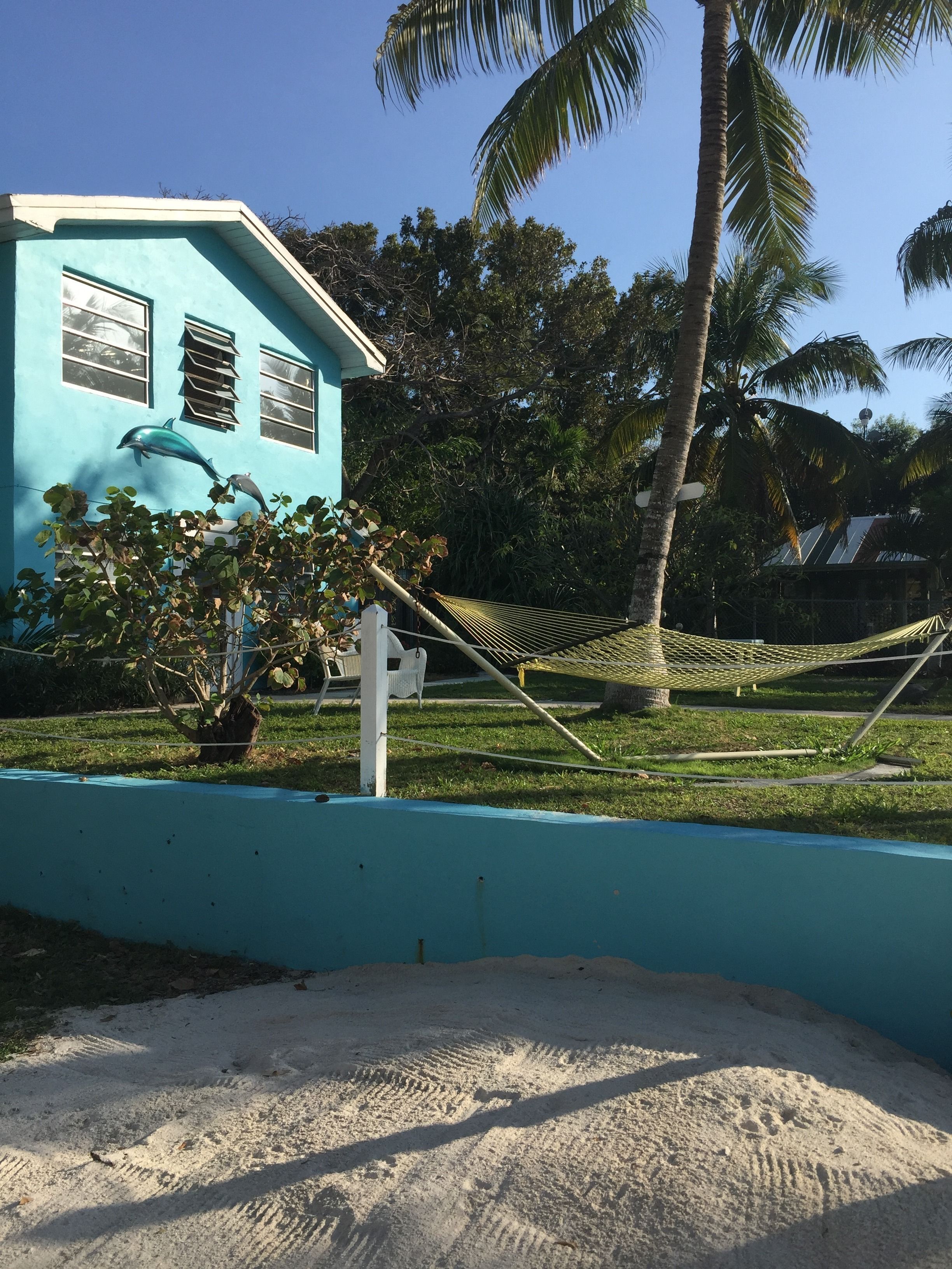 A blue building with a dolphin mural, a hammock, and a palm tree.
